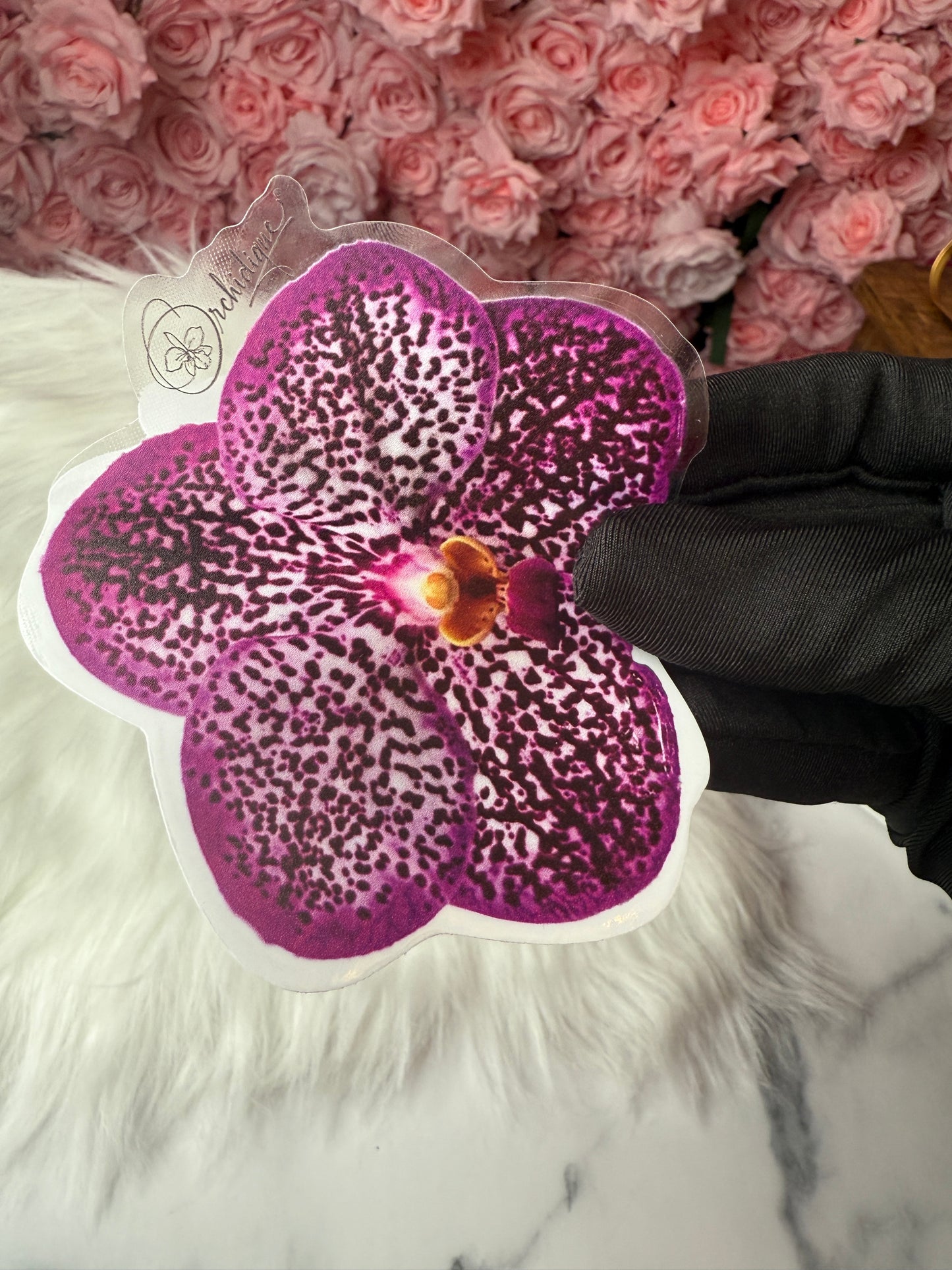Vanda Uraiwan Belle Sticker • Orchid Sticker