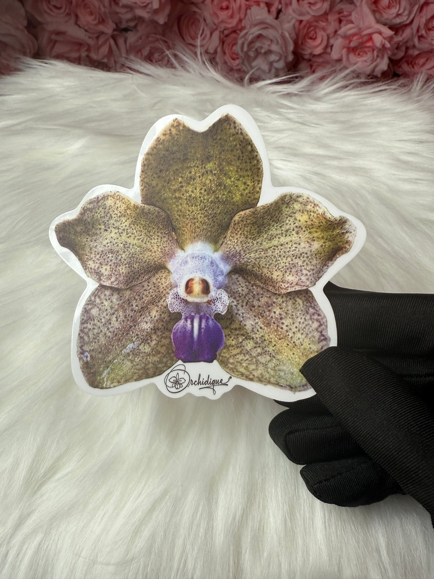 Vanda Purple Rain Orchid Sticker • Orchid Sticker