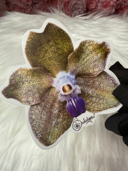 Vanda Purple Rain Orchid Sticker • Orchid Sticker