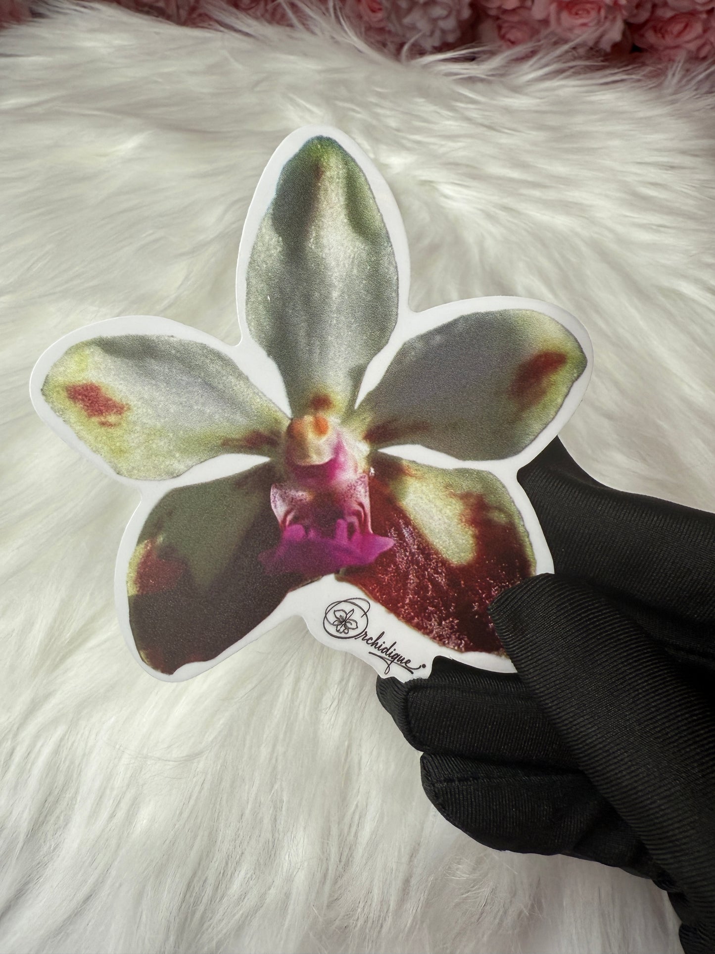Vanda Lamellata Sticker • Orchid Sticker
