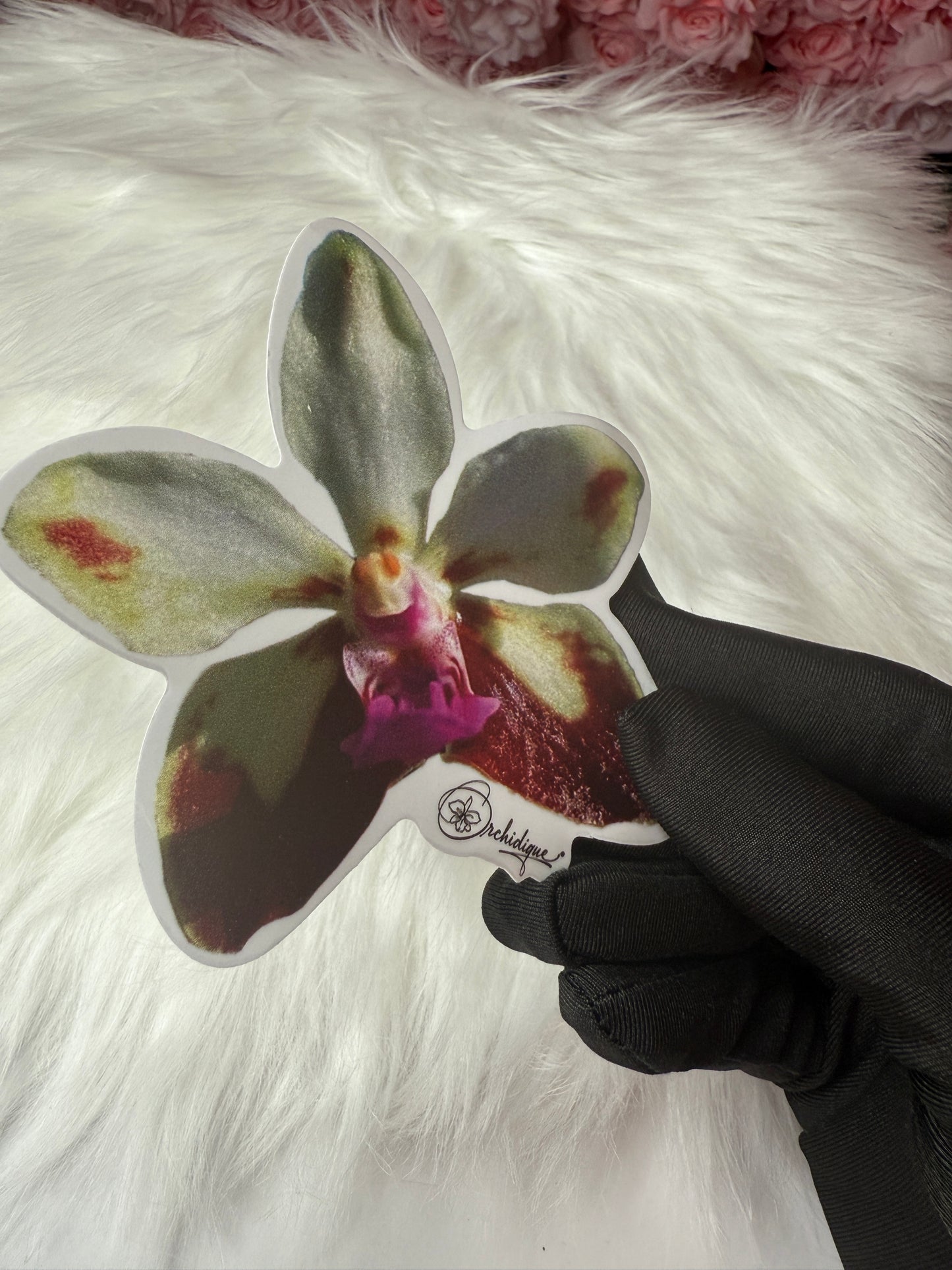 Vanda Lamellata Sticker • Orchid Sticker