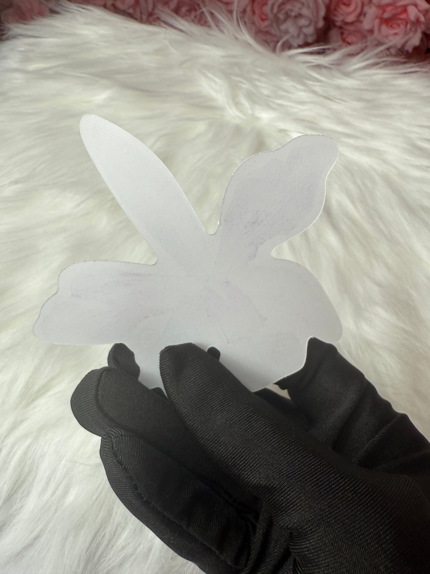 Cattleya Violacea Semi Alba Orchid Sticker