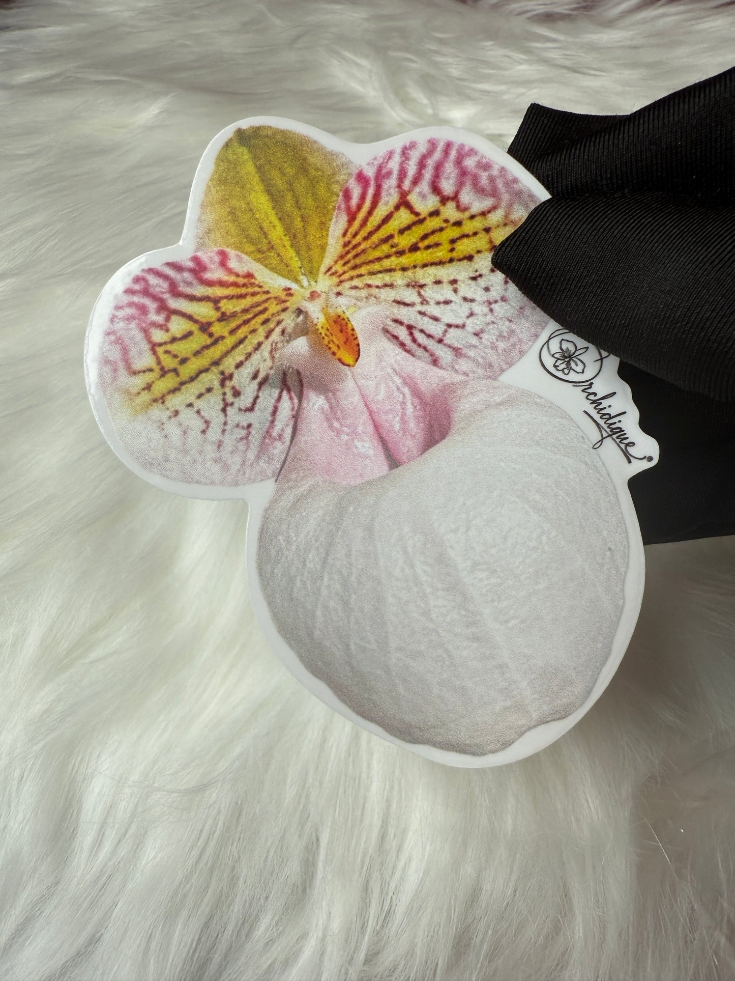 Paphiopedilum Micranthum Orchid Sticker