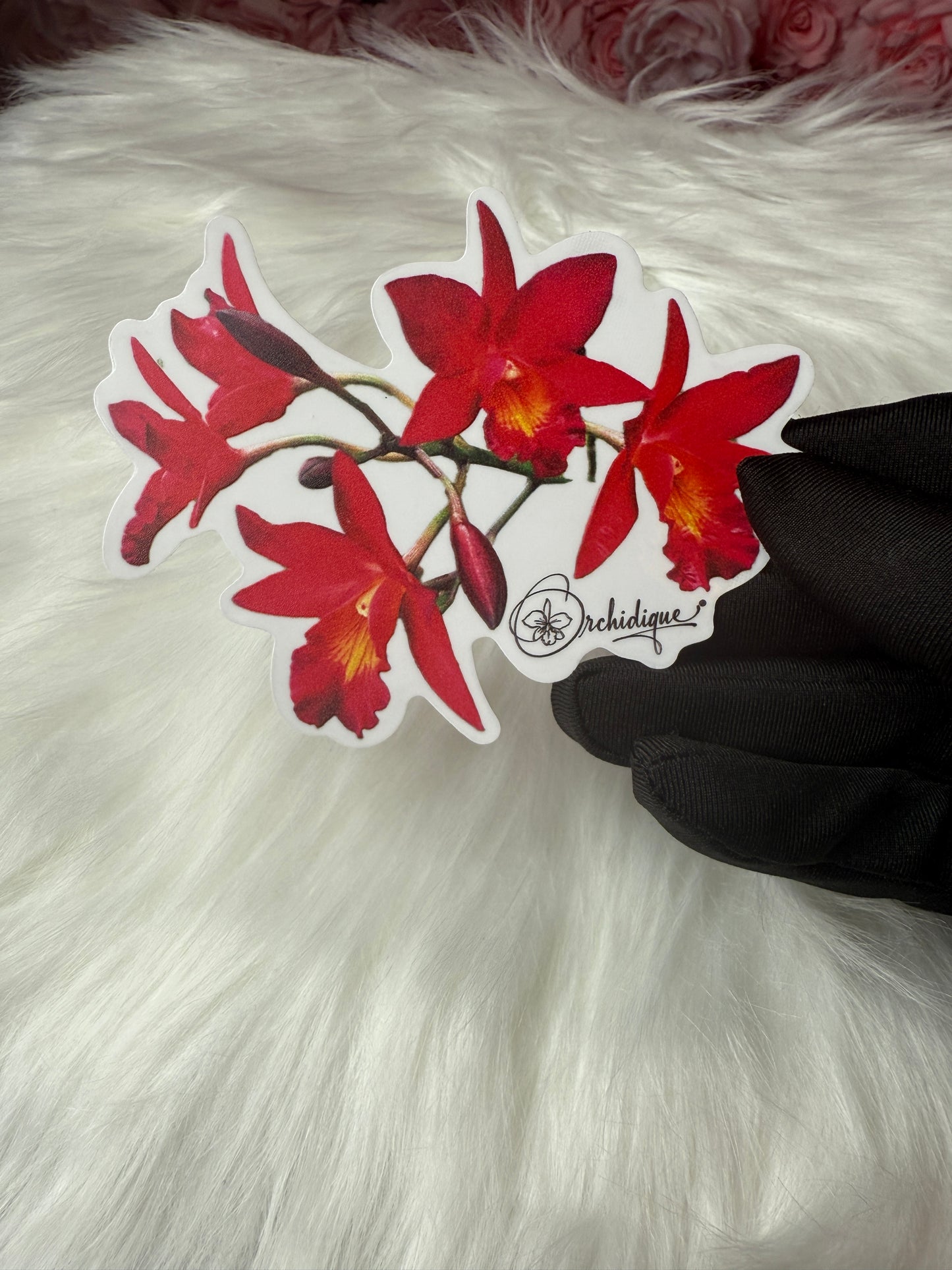 Cattleyatonya Why Not Orchid  • Flower Sticker