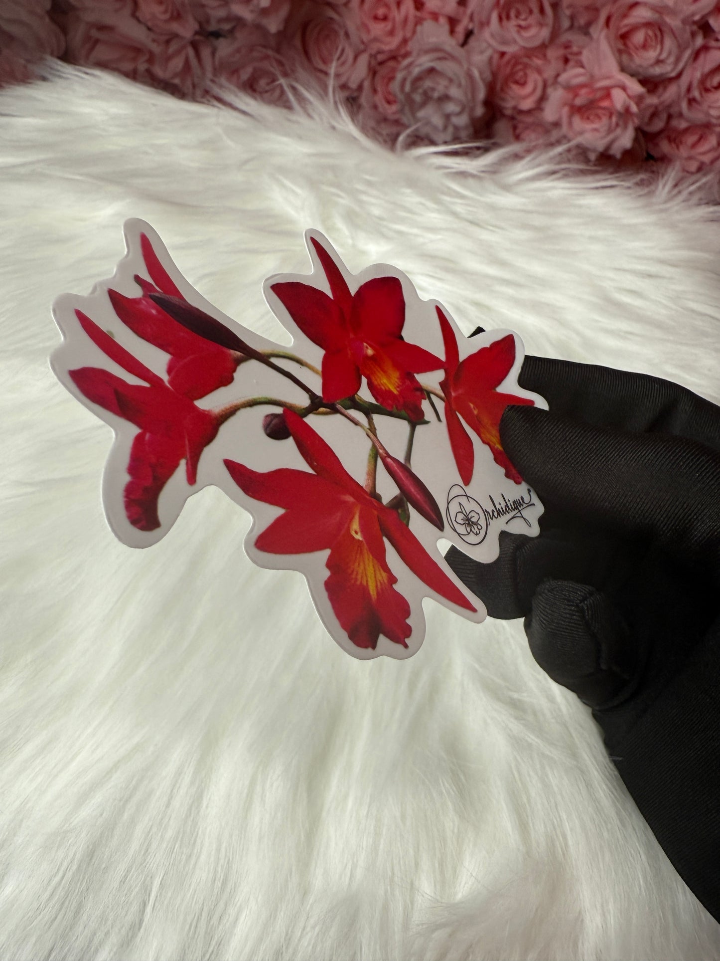 Cattleyatonya Why Not Orchid  • Flower Sticker
