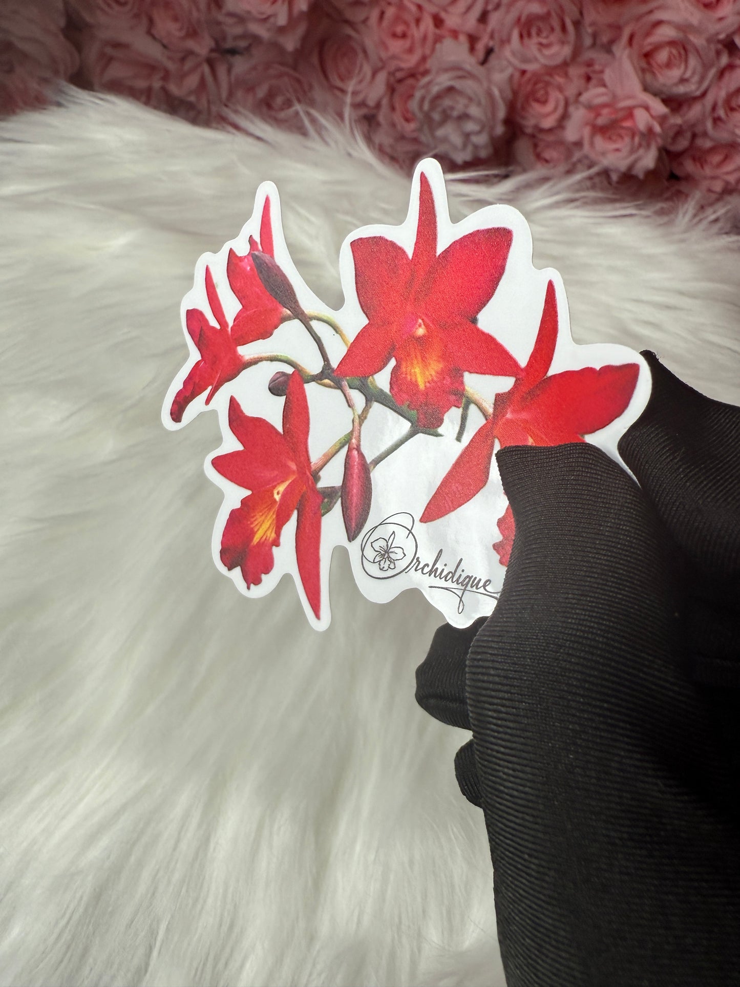 Cattleyatonya Why Not Orchid  • Flower Sticker