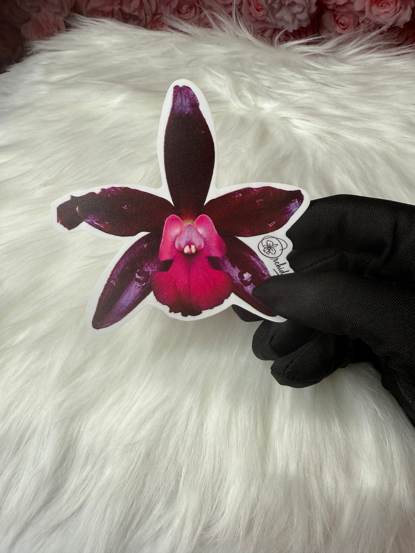 Cattlianthe Sagarik Wax Orchid Flower Sticker
