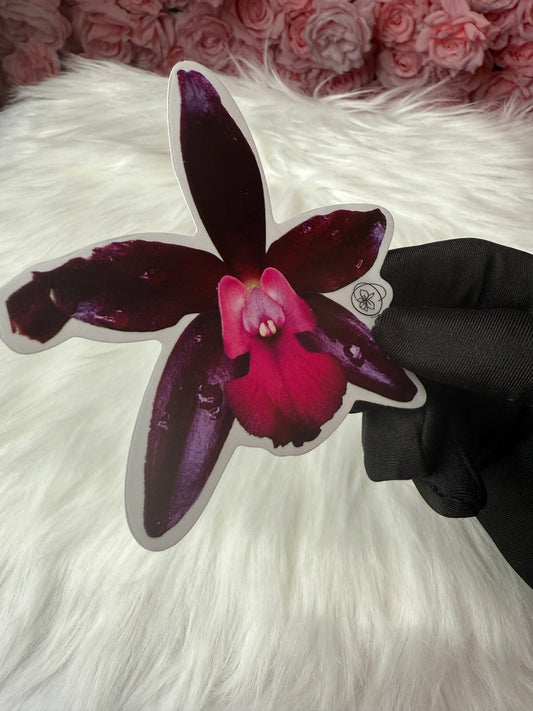 Cattlianthe Sagarik Wax Orchid Flower Sticker