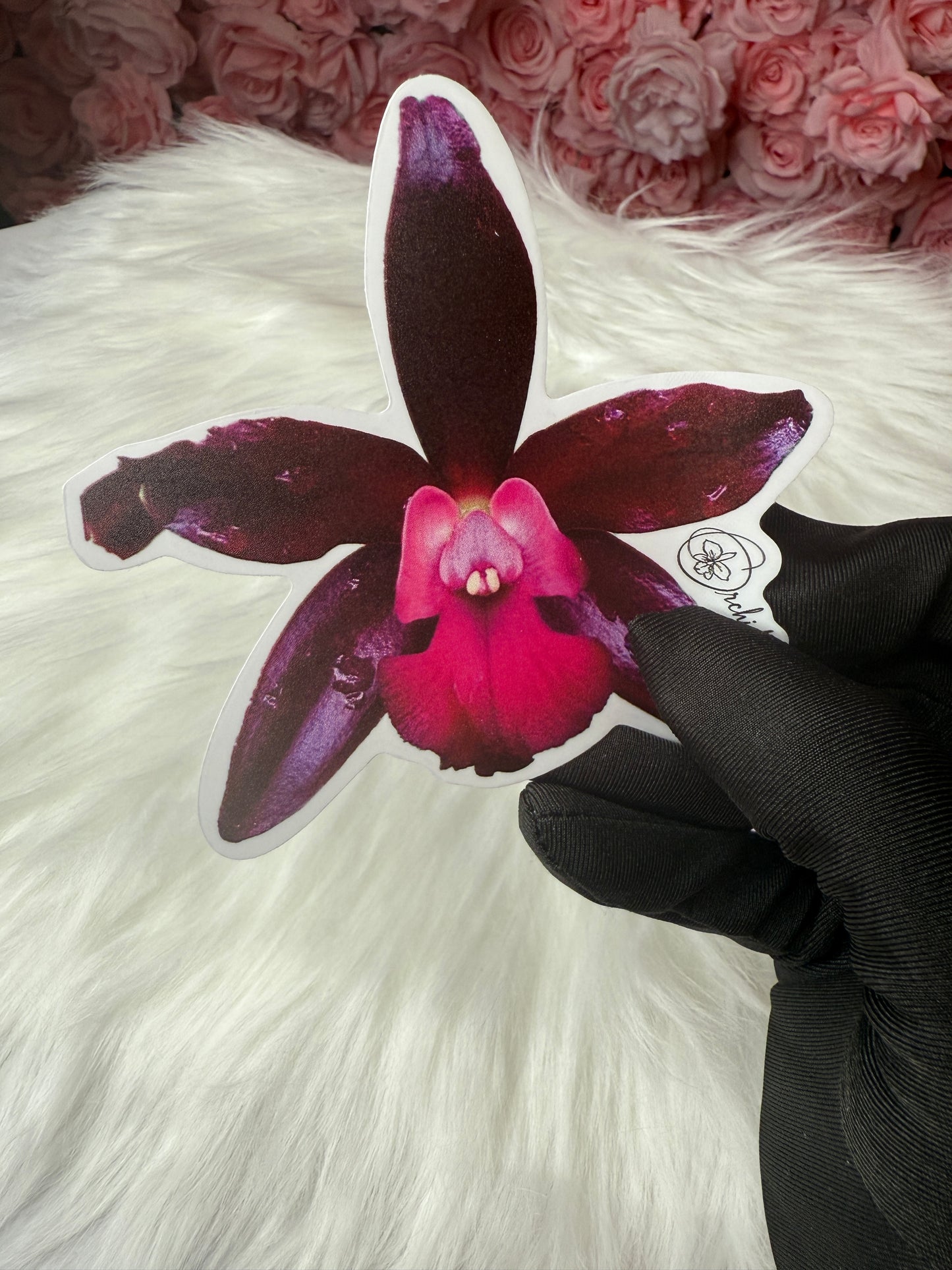 Cattlianthe Sagarik Wax Orchid Flower Sticker
