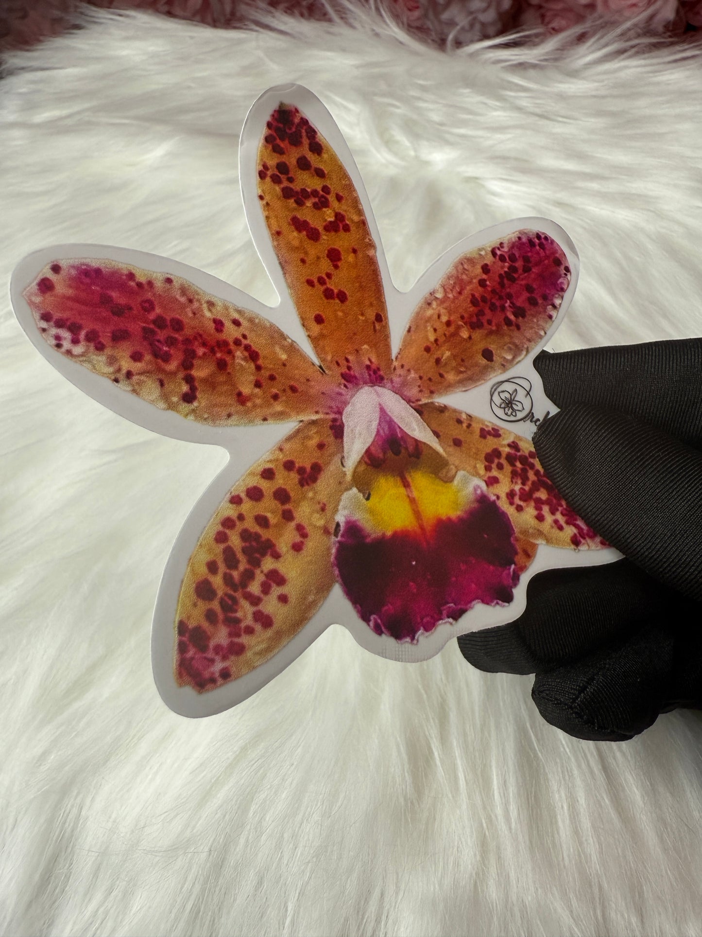 Cattleya Tropical Pointer Orchid Sticker