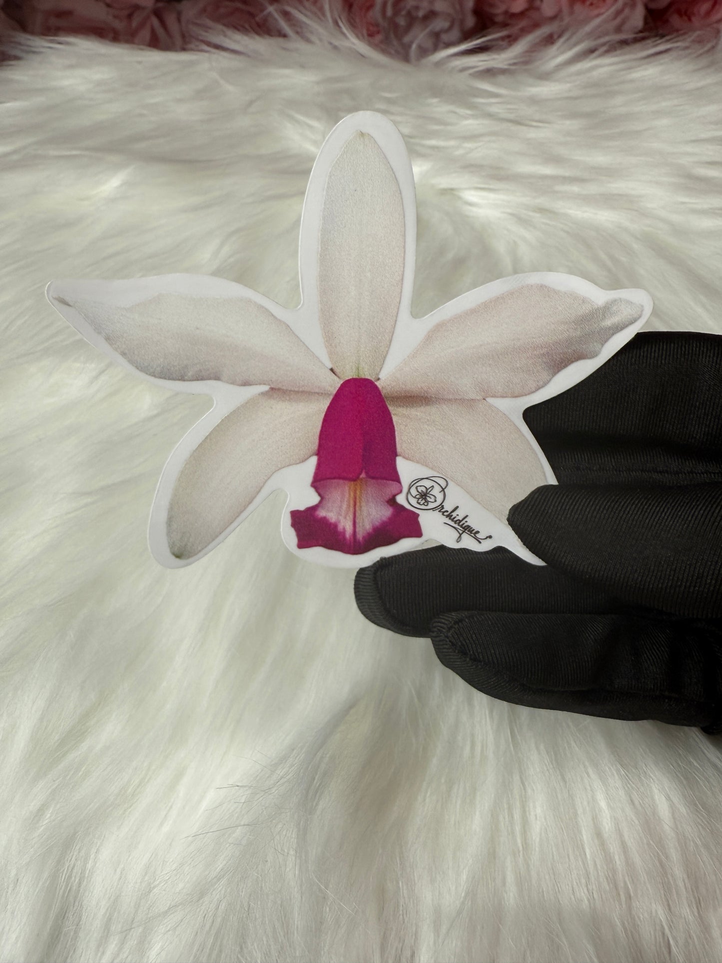 Myc. Rios Little Treasure Orchid Sticker