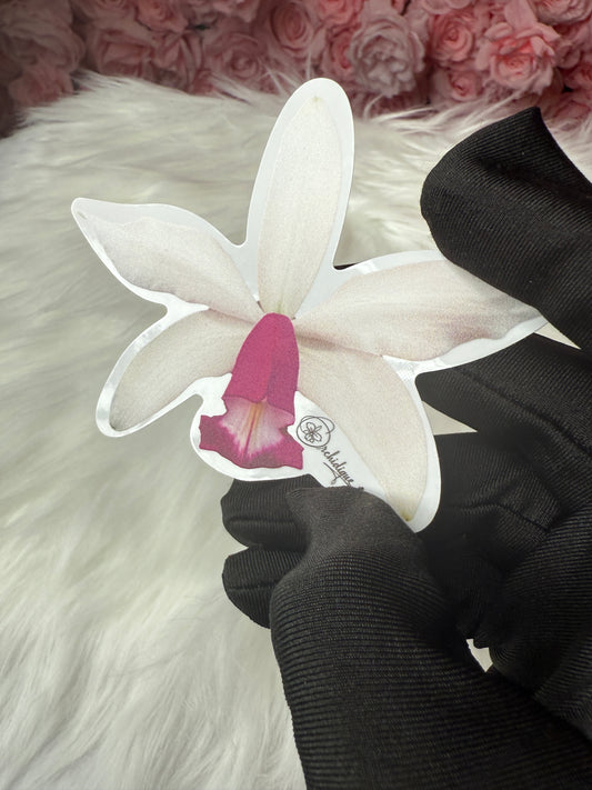 Myc. Rios Little Treasure Orchid Sticker