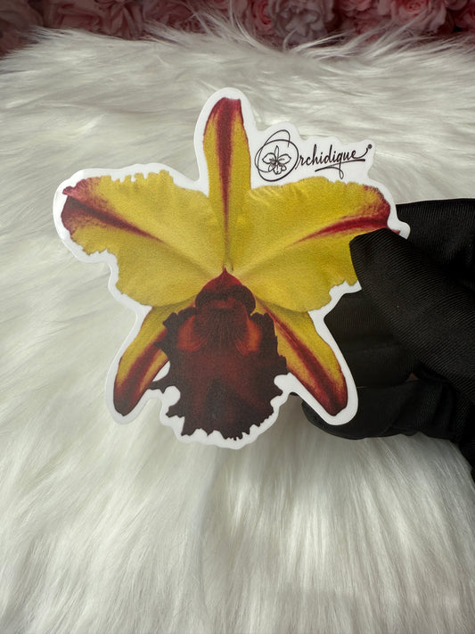 Blc. Toshi Pizazz  • Flower Stickers Sticker Waterproof