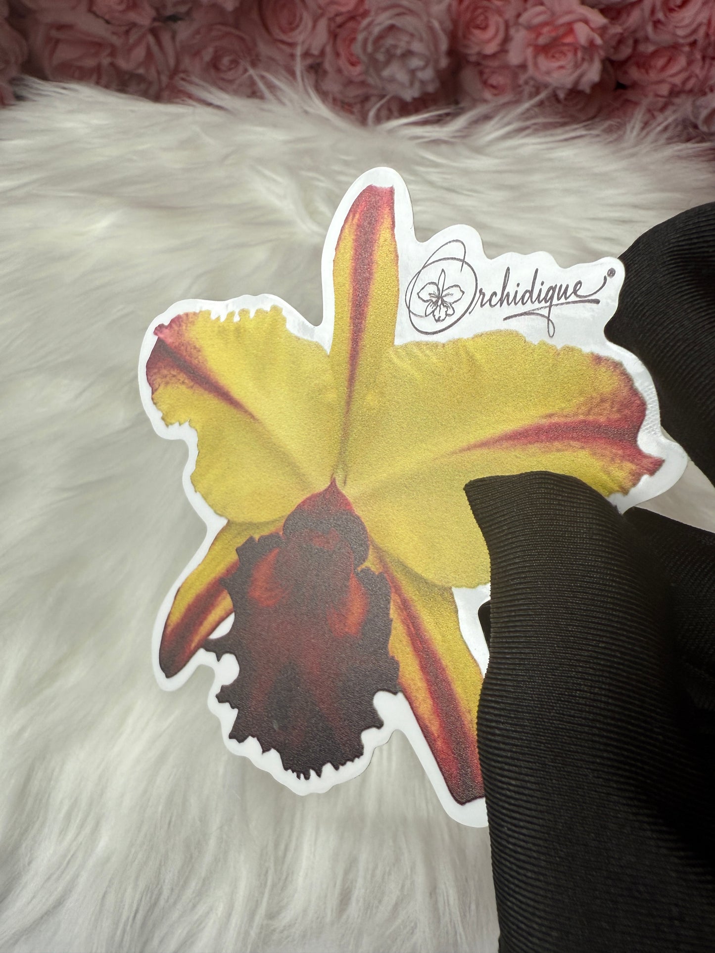 Blc. Toshi Pizazz  • Flower Stickers Sticker Waterproof