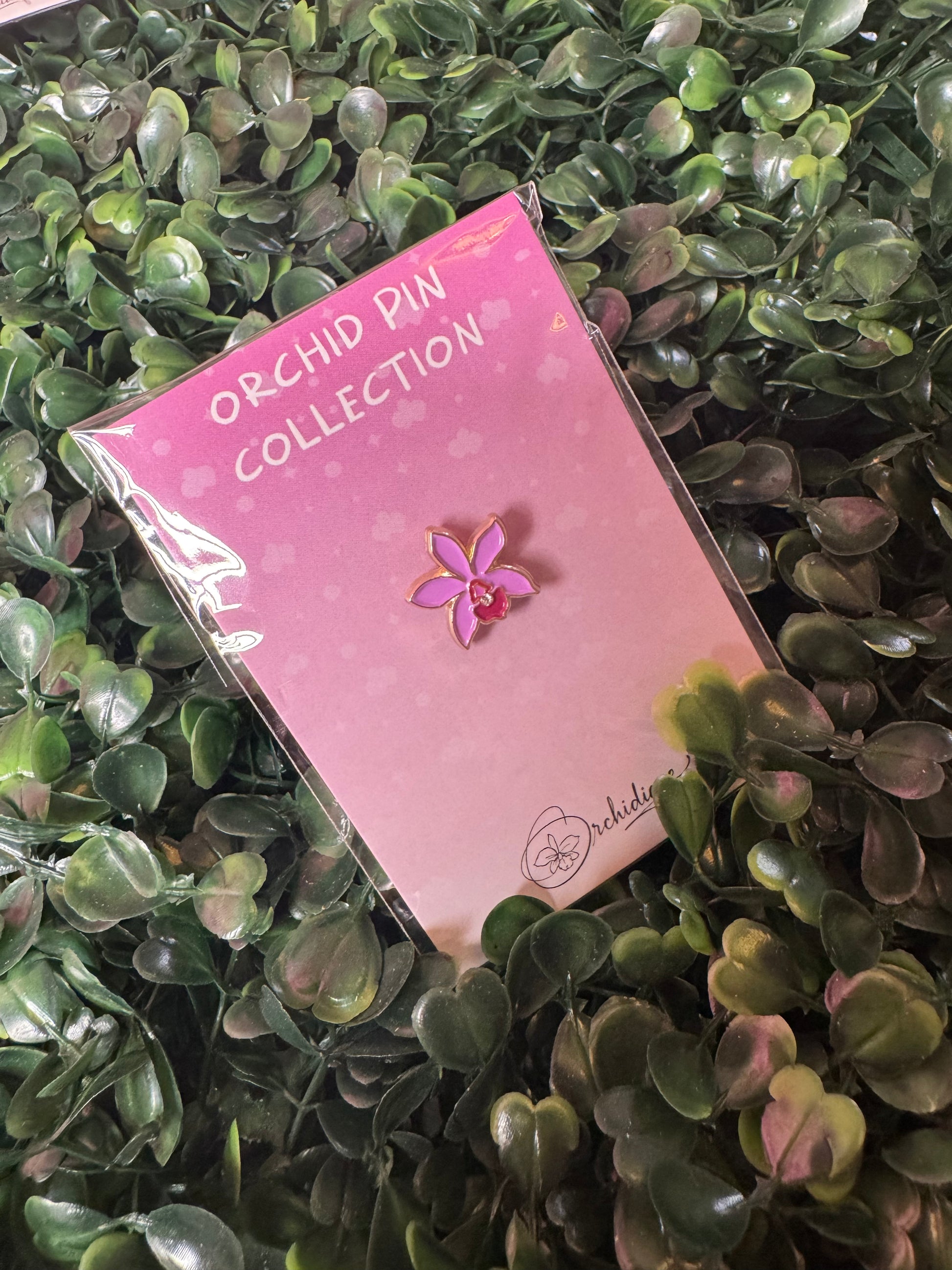 Mini Pins Cattleya Orchid Pin Collection - Orchidique