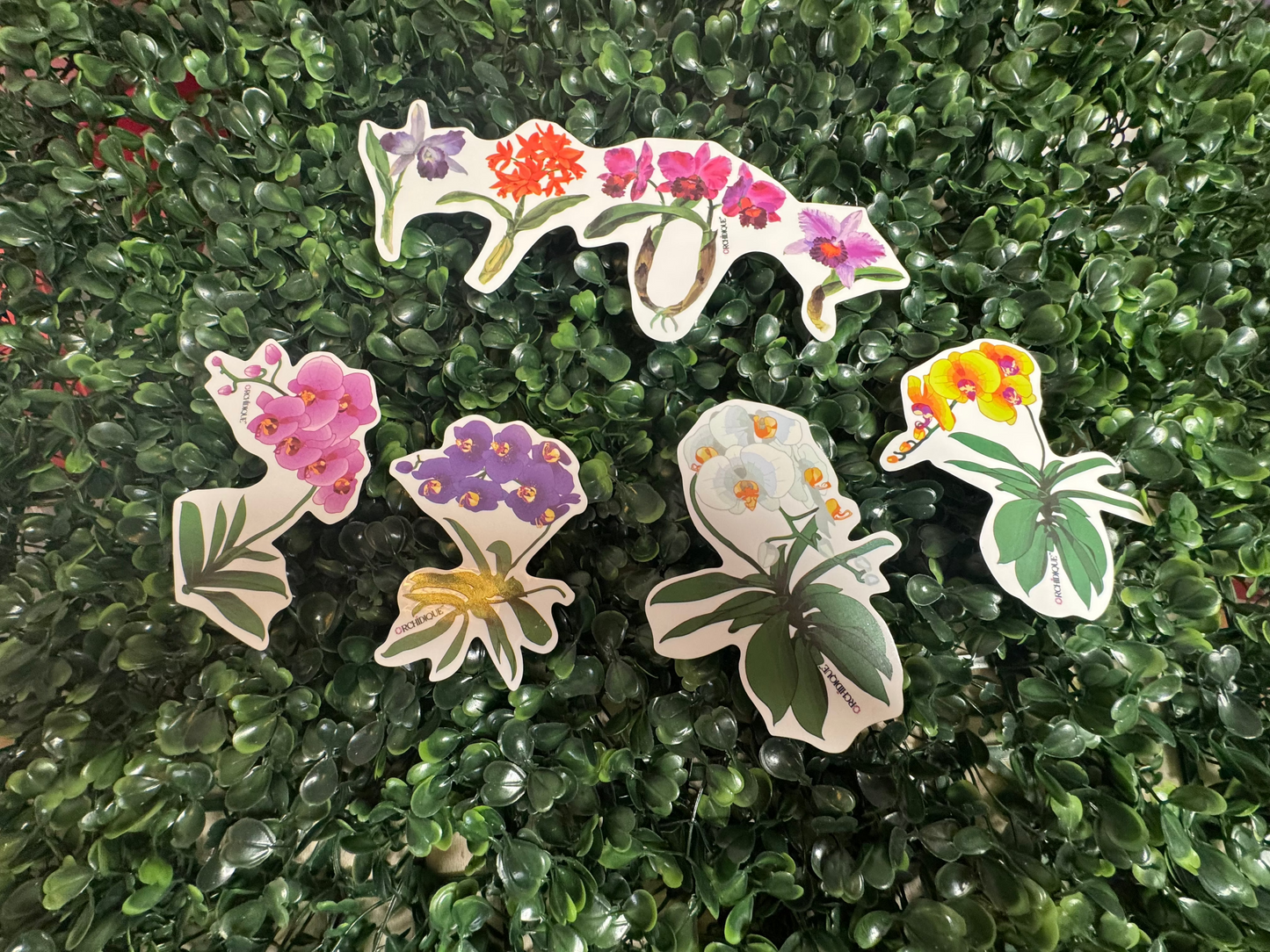 Transparent Vinyl Orchid Stickers