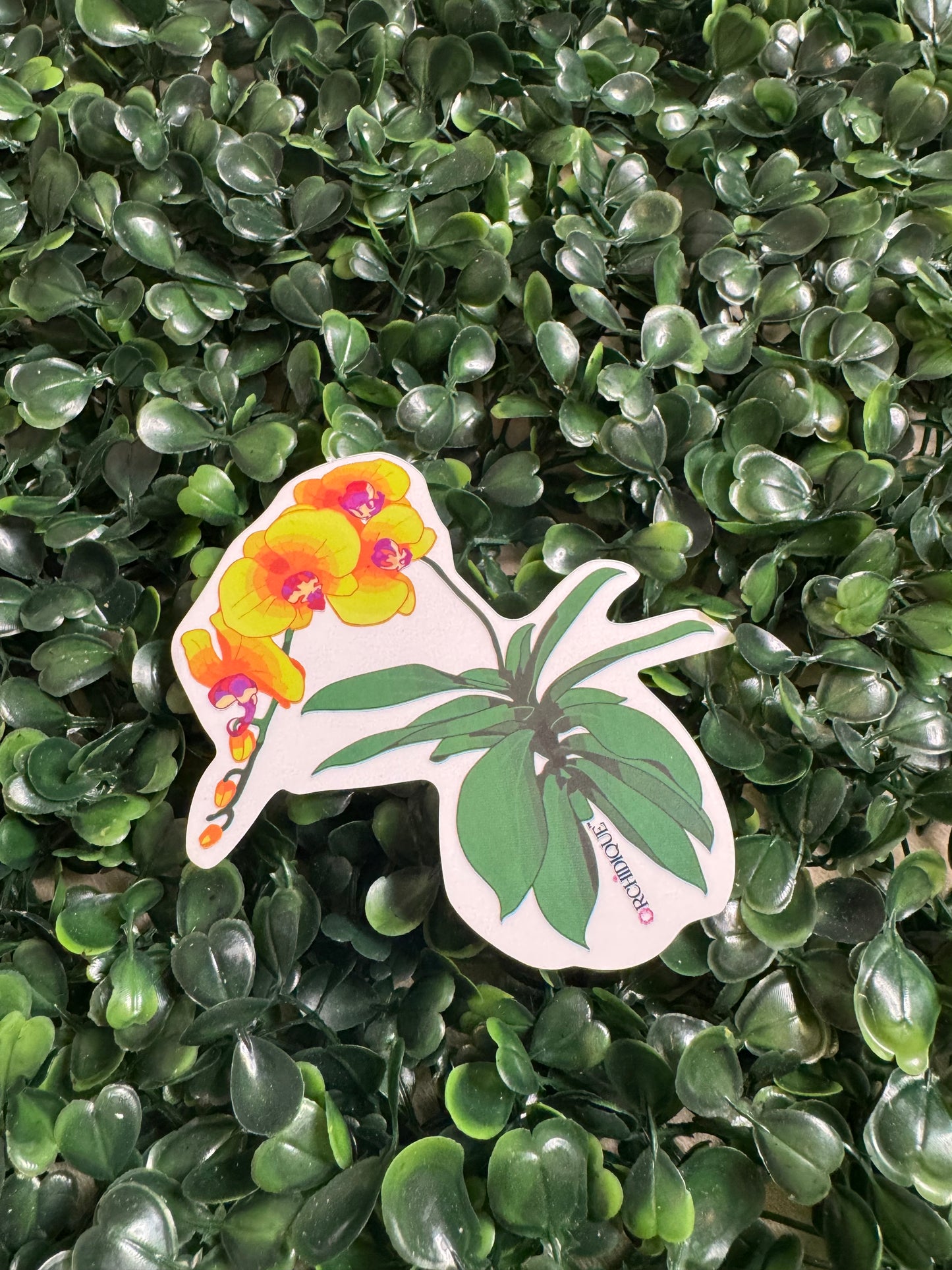 Transparent Vinyl Orchid Stickers