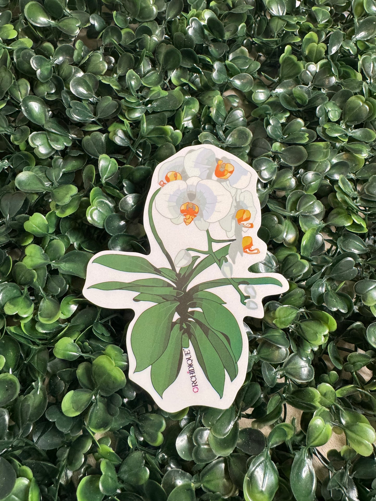 Transparent Vinyl Orchid Stickers