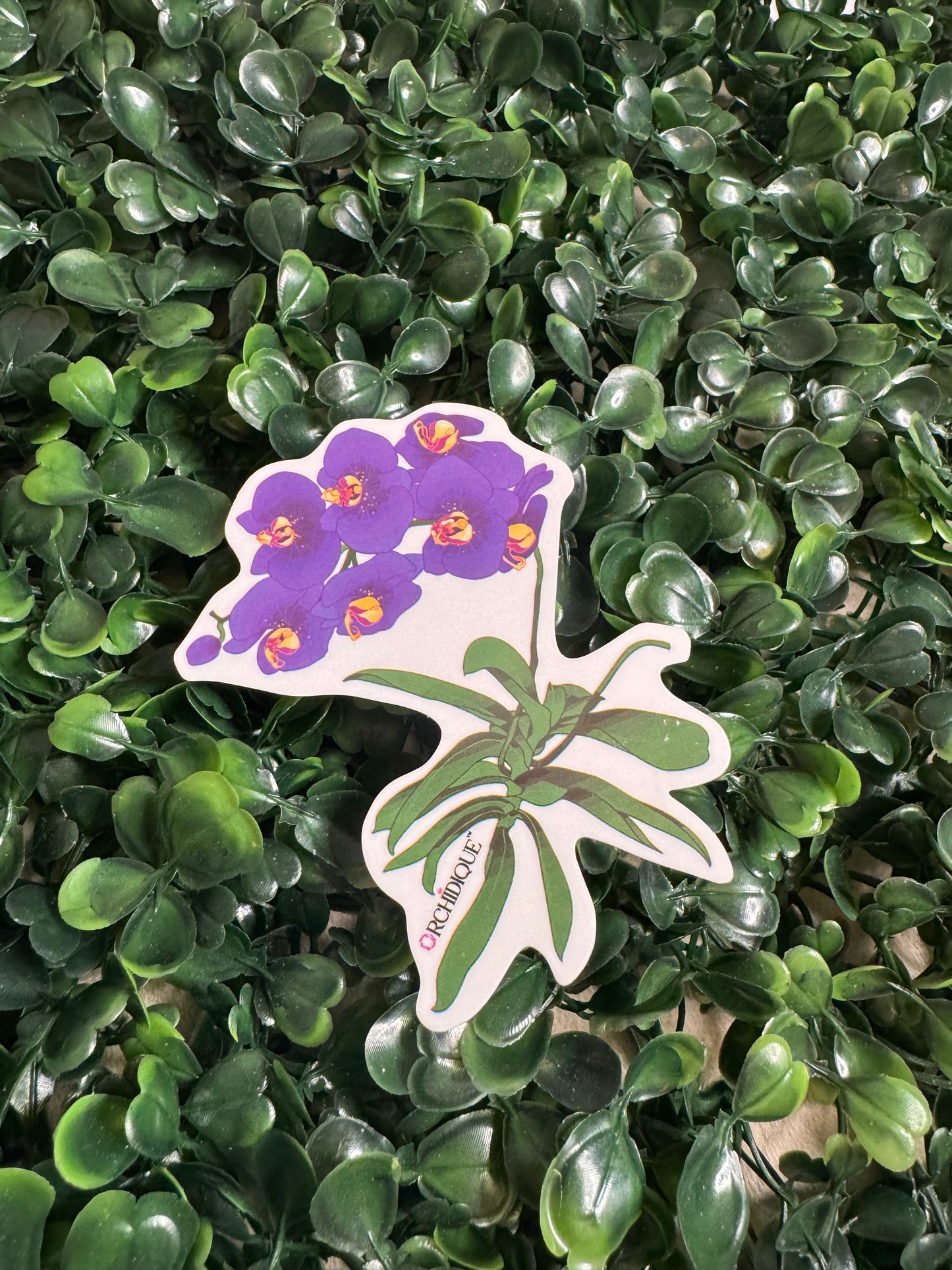 Transparent Vinyl Orchid Stickers