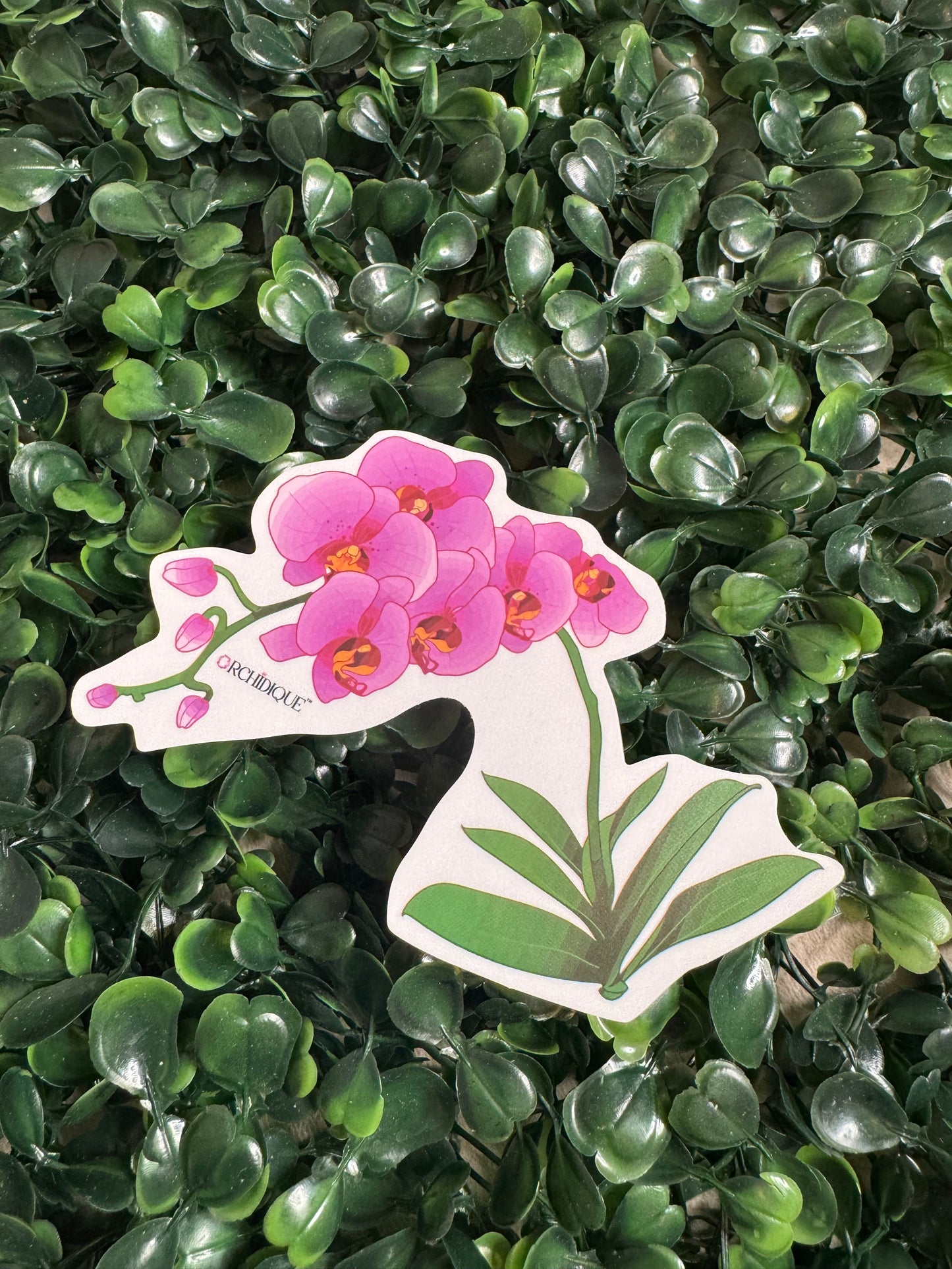 Transparent Vinyl Orchid Stickers