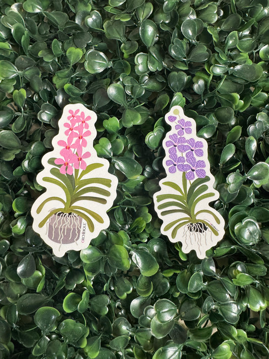 Mokara Vanda Orchid Sticker