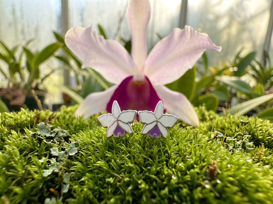Cattleya Orchid Stud Earrings — Orchidique view 1