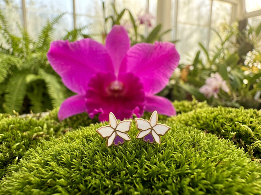Cattleya Orchid Stud Earrings — Orchidique view 1