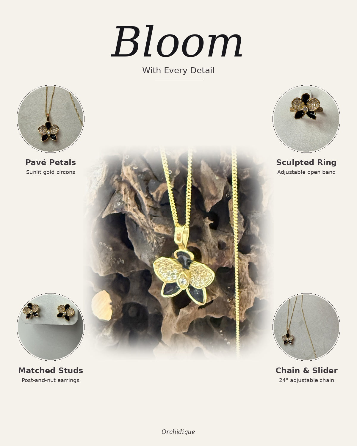Black Midnight Phalaenopsis Orchid Set — Bloom With Every Detail composite