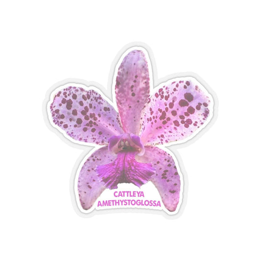 Catttleya Amethysteglossa Kiss-Cut Stickers, Orchid Plant Sticker, Floral Decal, Botanical Laptop Sticker, Purple Flower Sticker, Plant