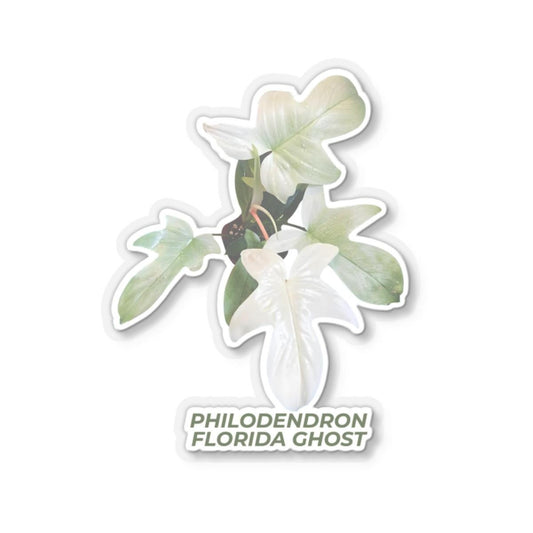 Philodendron Florida Ghost Kiss-Cut Stickers, Vinyl Stickers for Indoor Decor, White & Transparent Options, Glossy Finish