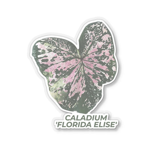 Caladium Florida Elise Kiss-Cut Stickers, Vinyl Decorations, Glossy Finish, Indoor Decor, White & Transparent Options, 4", Strong 3M Glue