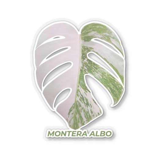 Monstera Albo Kiss-Cut Stickers, Plant Lover Decor, 4 inch Vinyl Stickers, Glossy Finish, White and Transparent Options, Strong 3M Glue