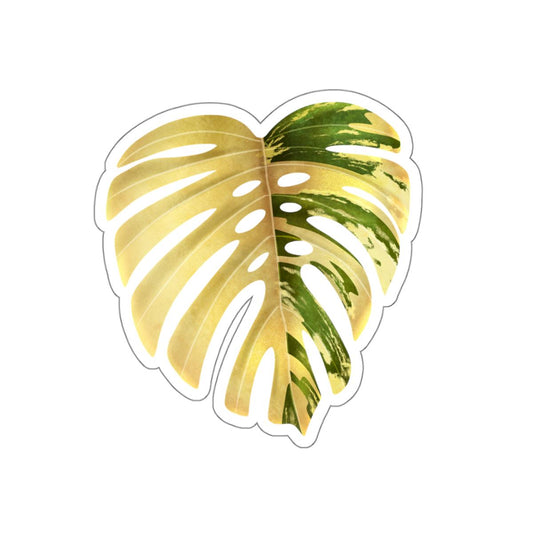 Monstera Sticker