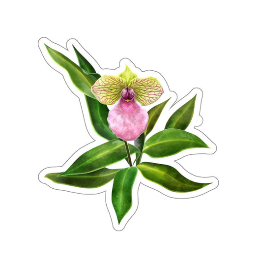 Phaph Fanaticum Orchid Sticker - Floral Kiss-Cut Stickers for Laptop, Water Bottle, Scrapbook, Journal, Planner
