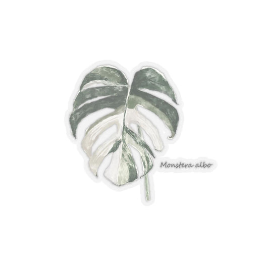 Monstera Albo Sticker, Tropical Plant Kiss-Cut Stickers for Laptop, Water Bottle, Phone, Planner, Cute Decals
