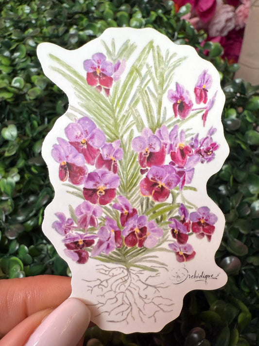 Orchid Sticker • Vanda • Vanda Sanderiana • Floral Sticker • Waterproof • Laptop Decal • Plant Lover Gift