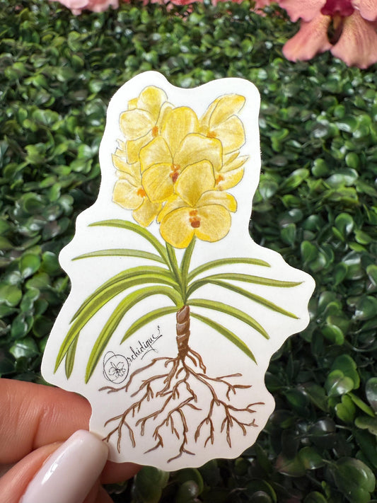 Orchid Sticker • Vanda Marlene Ruiz • Yellow Vanda • Floral Sticker • Waterproof • Laptop Decal • Plant Lover Gift