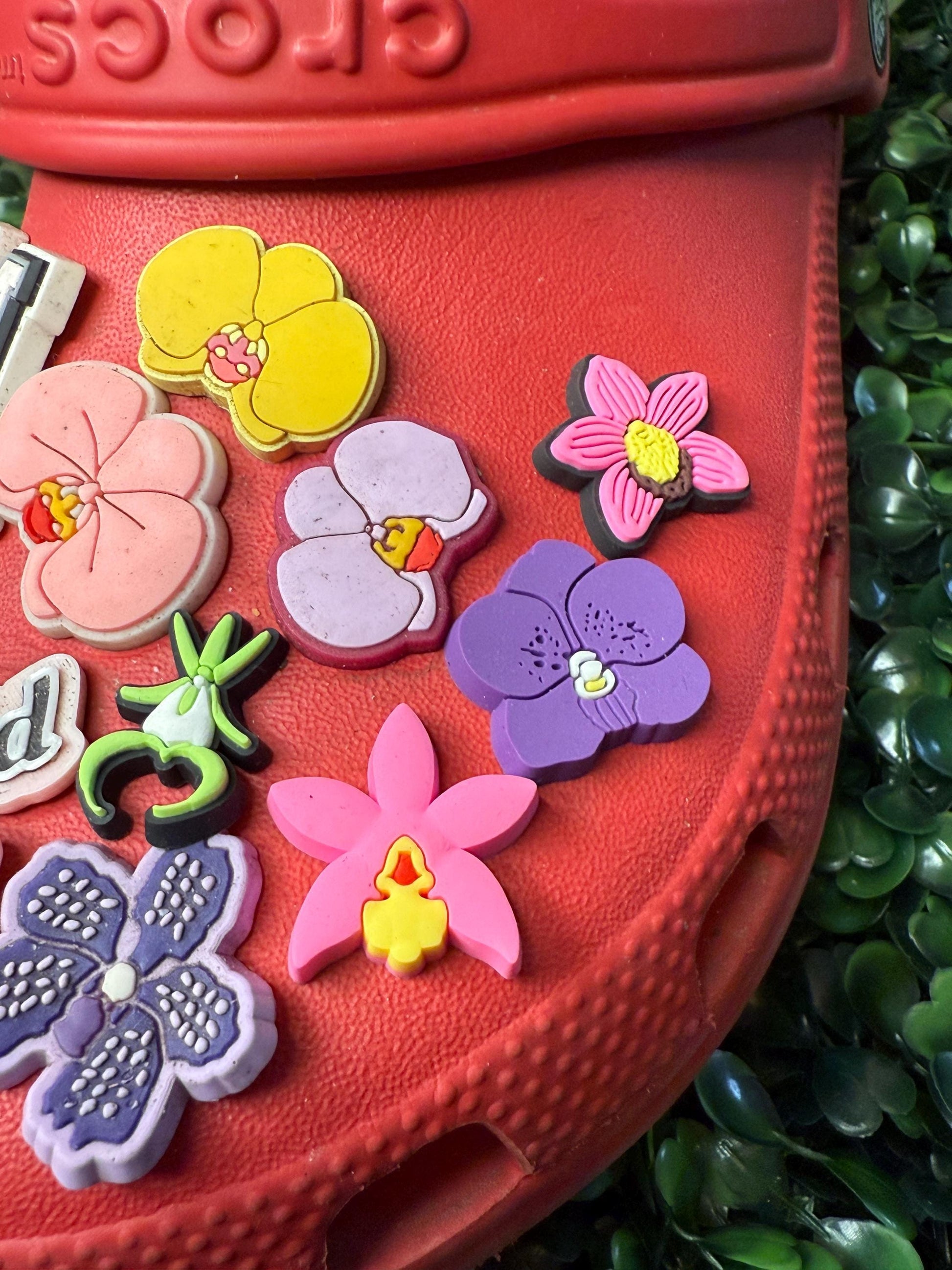 Flower Bogg Bag Charms• Bogg Bag Buttons • Bogg Bag Accessories• Cymbidium Orchid Bogg Charm