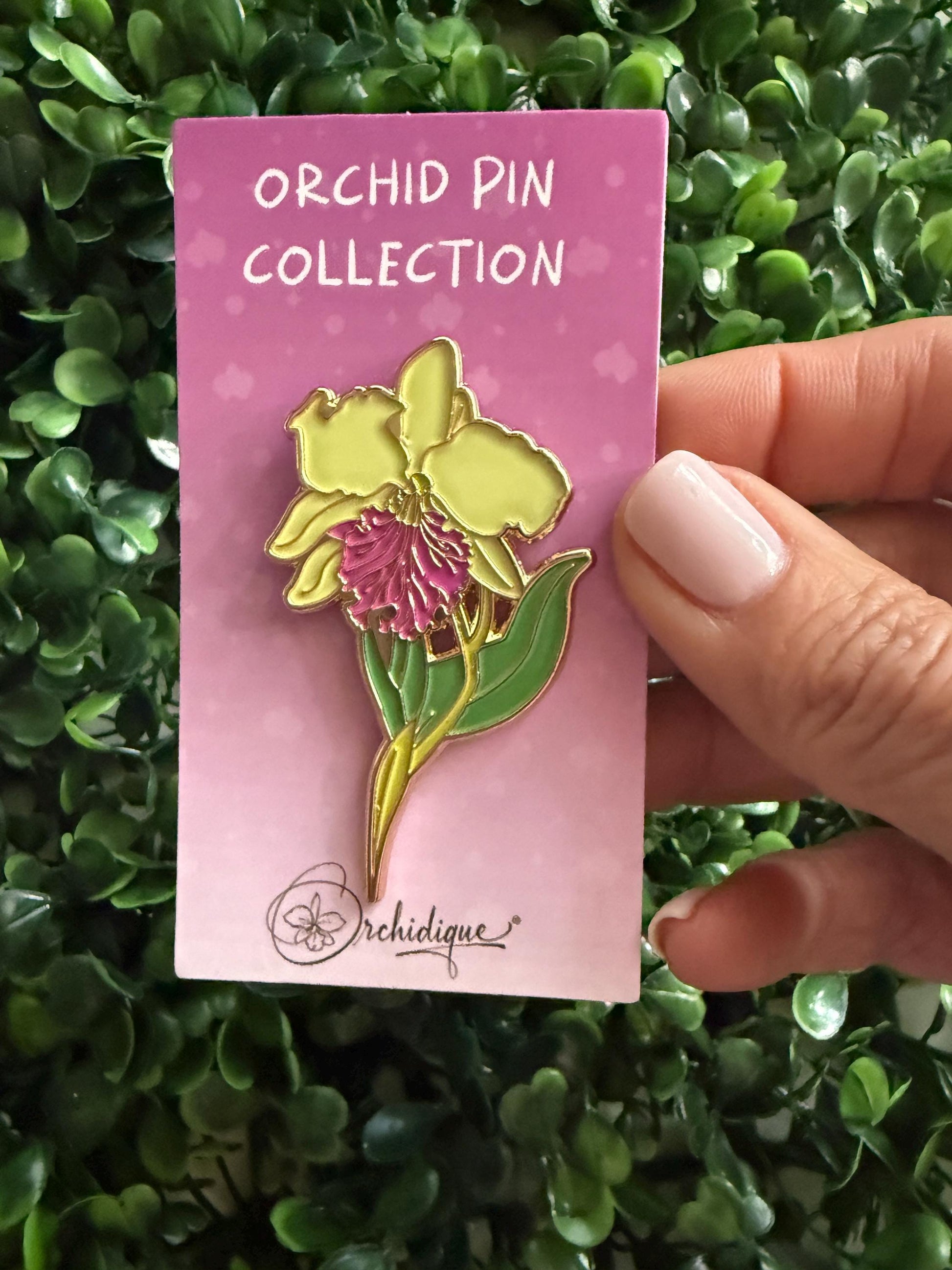 Large Cattleya Enamel Pin- Orchid Flower Enamel Pin • Lime Flower Orchid Collector Item