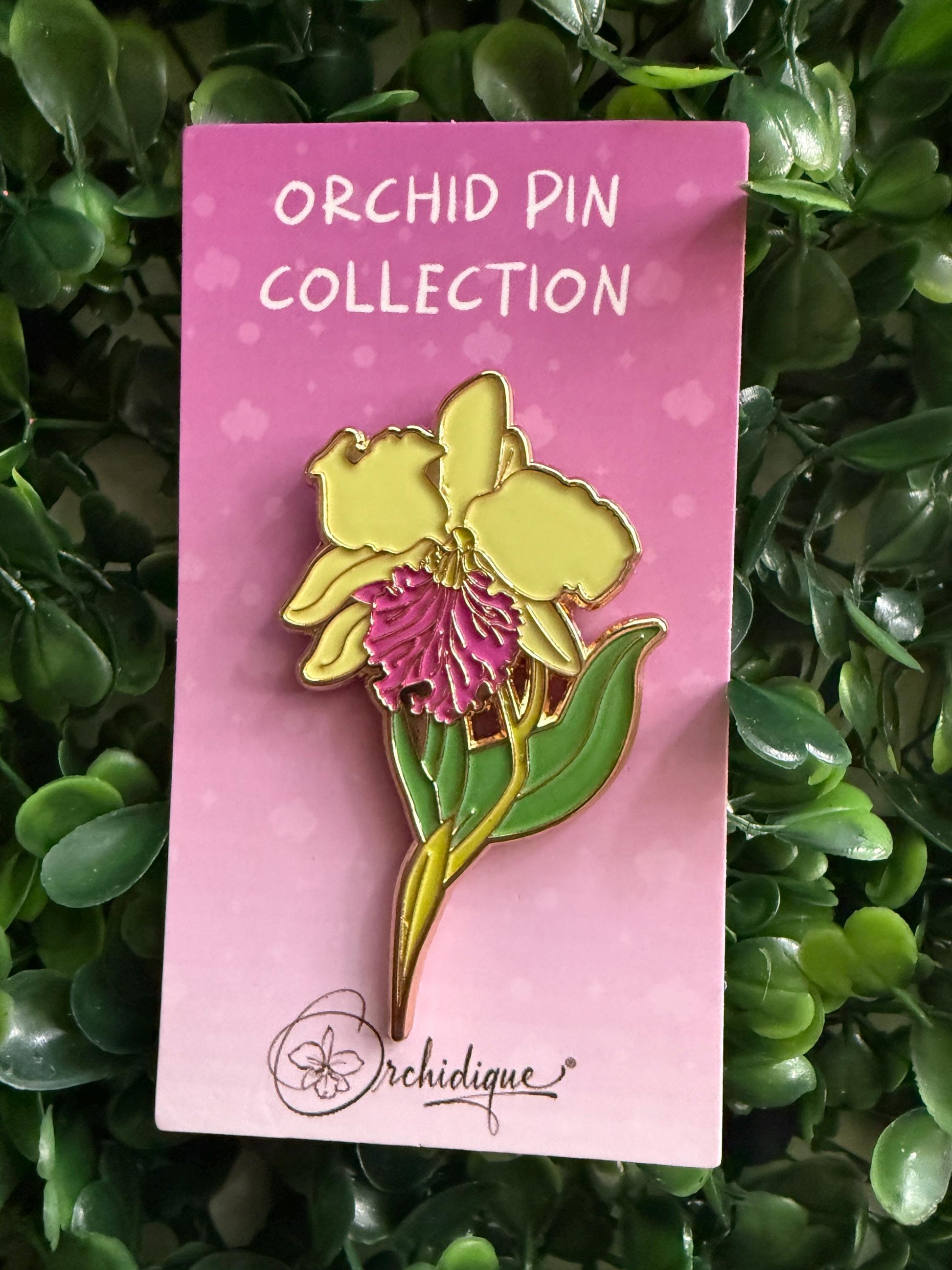 Large Cattleya Enamel Pin- Orchid Flower Enamel Pin • Lime Flower Orchid Collector Item