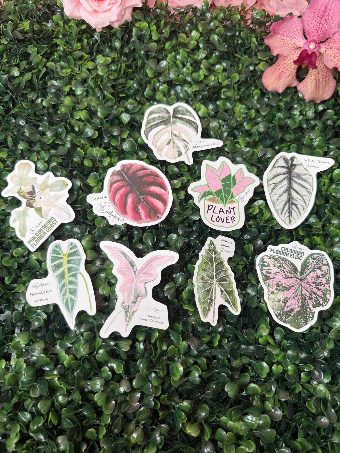 Philodendron Leaf Sticker • Florida Ghost Sticker • Botanical Sticker • Waterproof • Laptop Decal • Plant Lover Gift