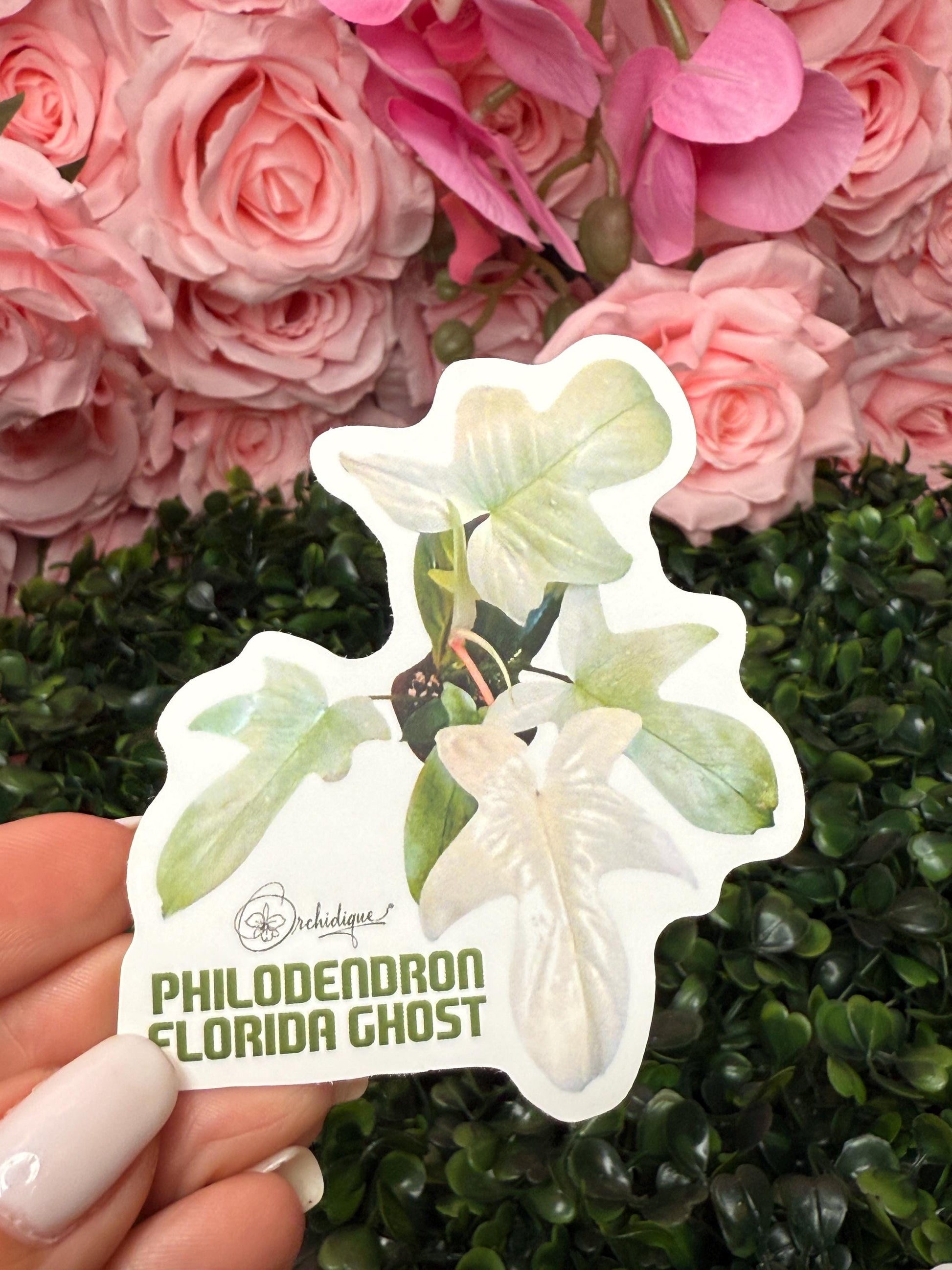 Philodendron Leaf Sticker • Florida Ghost Sticker • Botanical Sticker • Waterproof • Laptop Decal • Plant Lover Gift