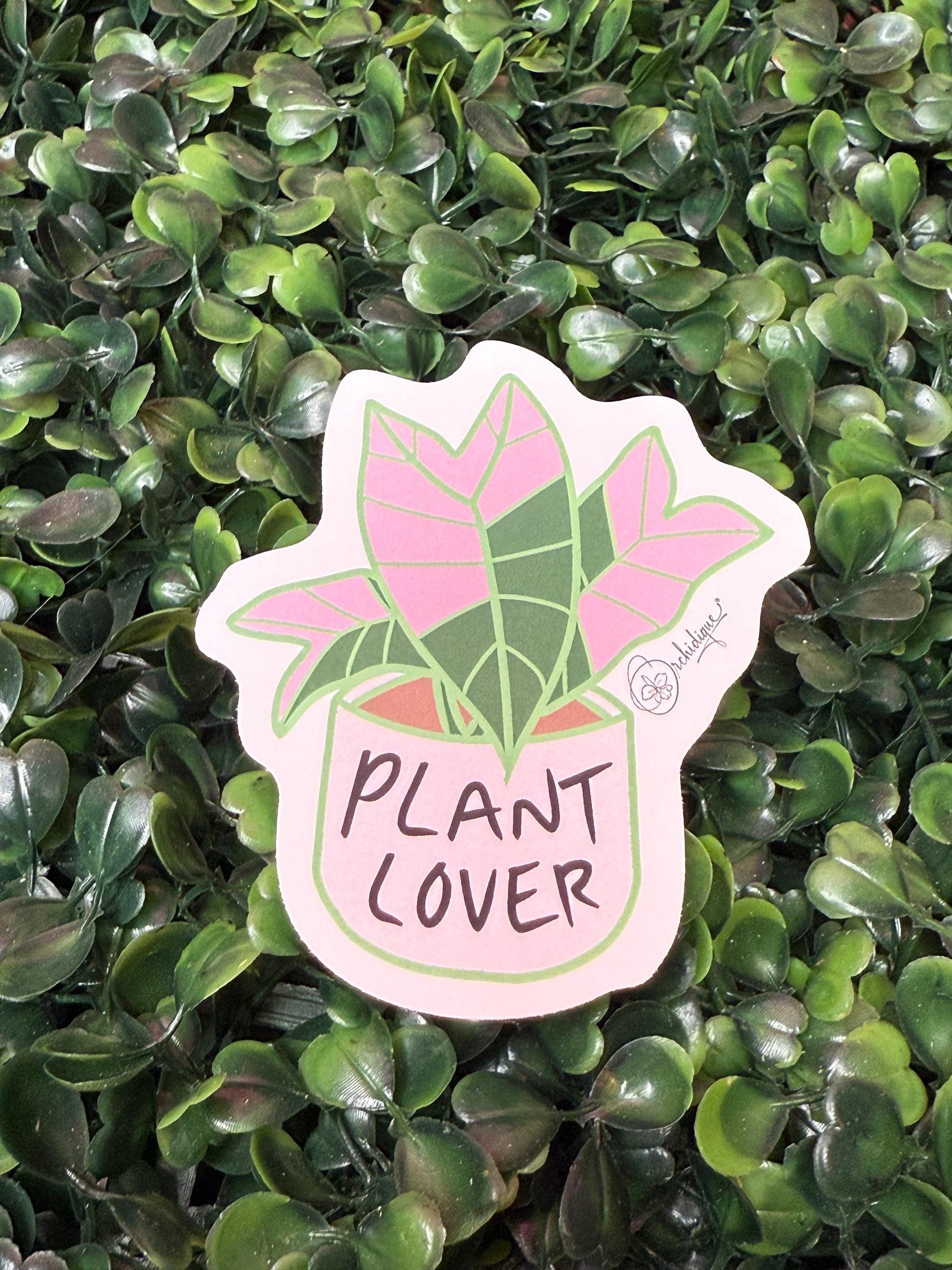 Plant Lover Sticker • Alocasia Pink Nobilis • Orchid Lover Gift