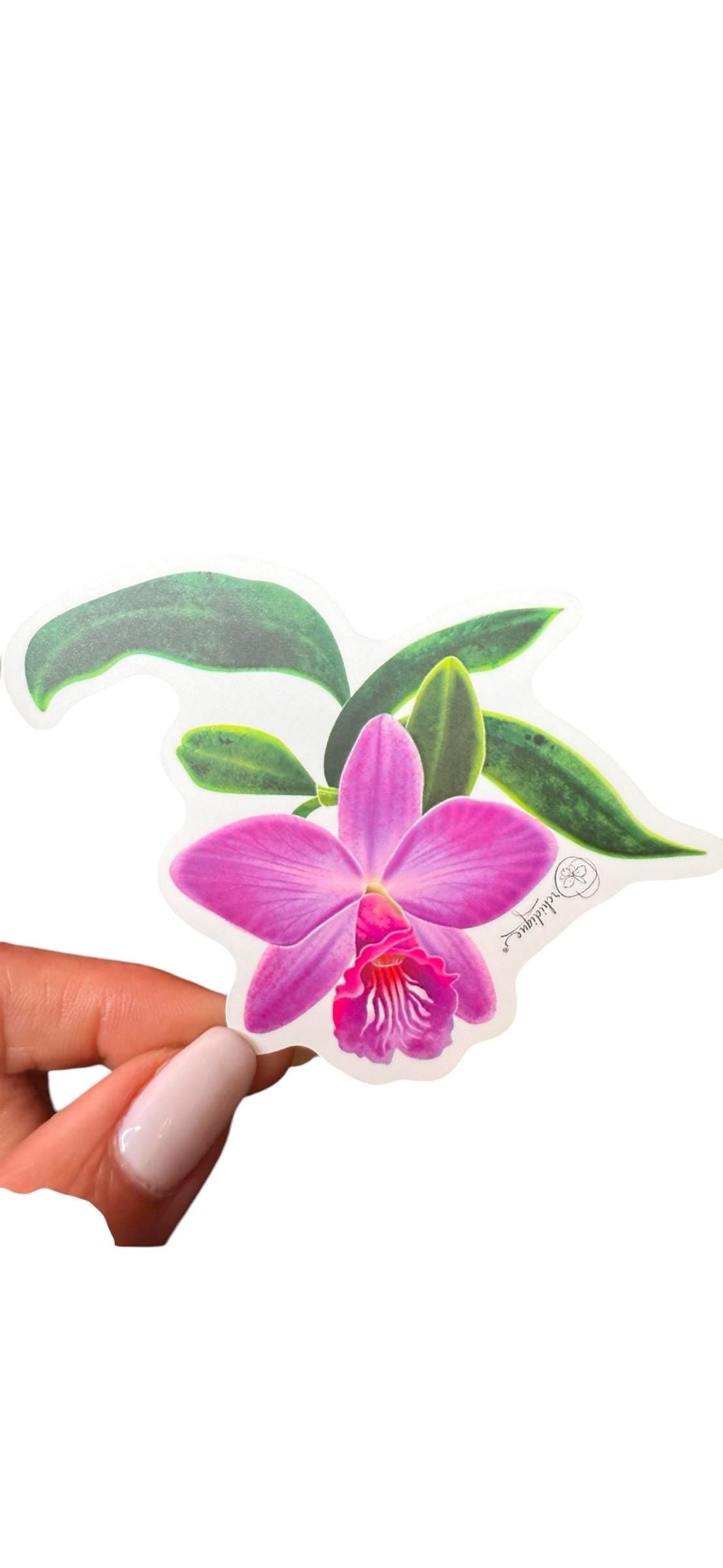 Orchid Sticker • Cattleya Orchid • Floral Sticker • Waterproof • Laptop Decal • Plant Lover Gift