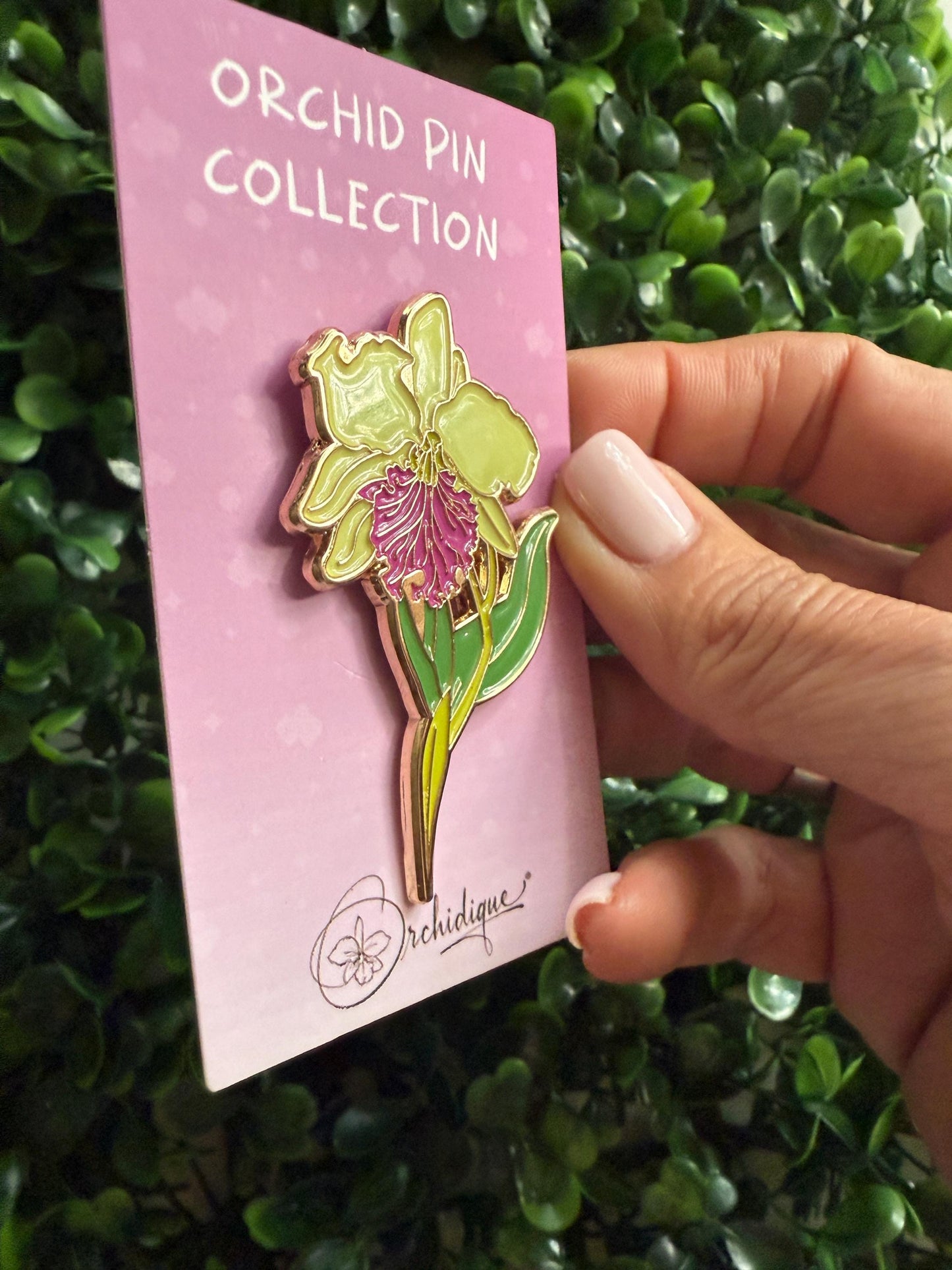 Large Cattleya Enamel Pin- Orchid Flower Enamel Pin • Lime Flower Orchid Collector Item