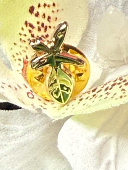 Mini Florida Ghost Beauty Enamel Pin • Floral Pin Collector Item • Unique Gift for Rare Foliage Lovers • Pins and Badges