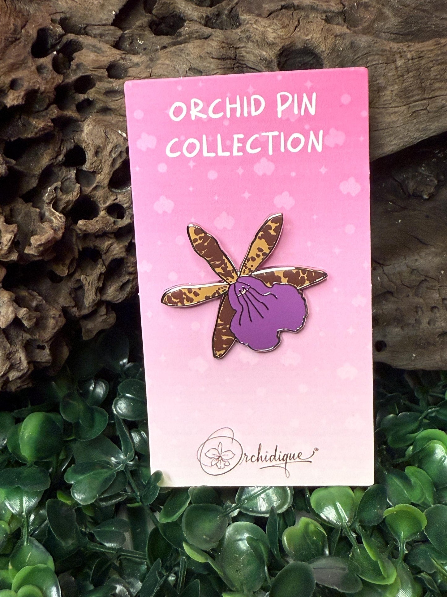 BC Hippoclamia Enamel Pin- Orchid Flower Enamel Pin • Flower Orchid Collector Item