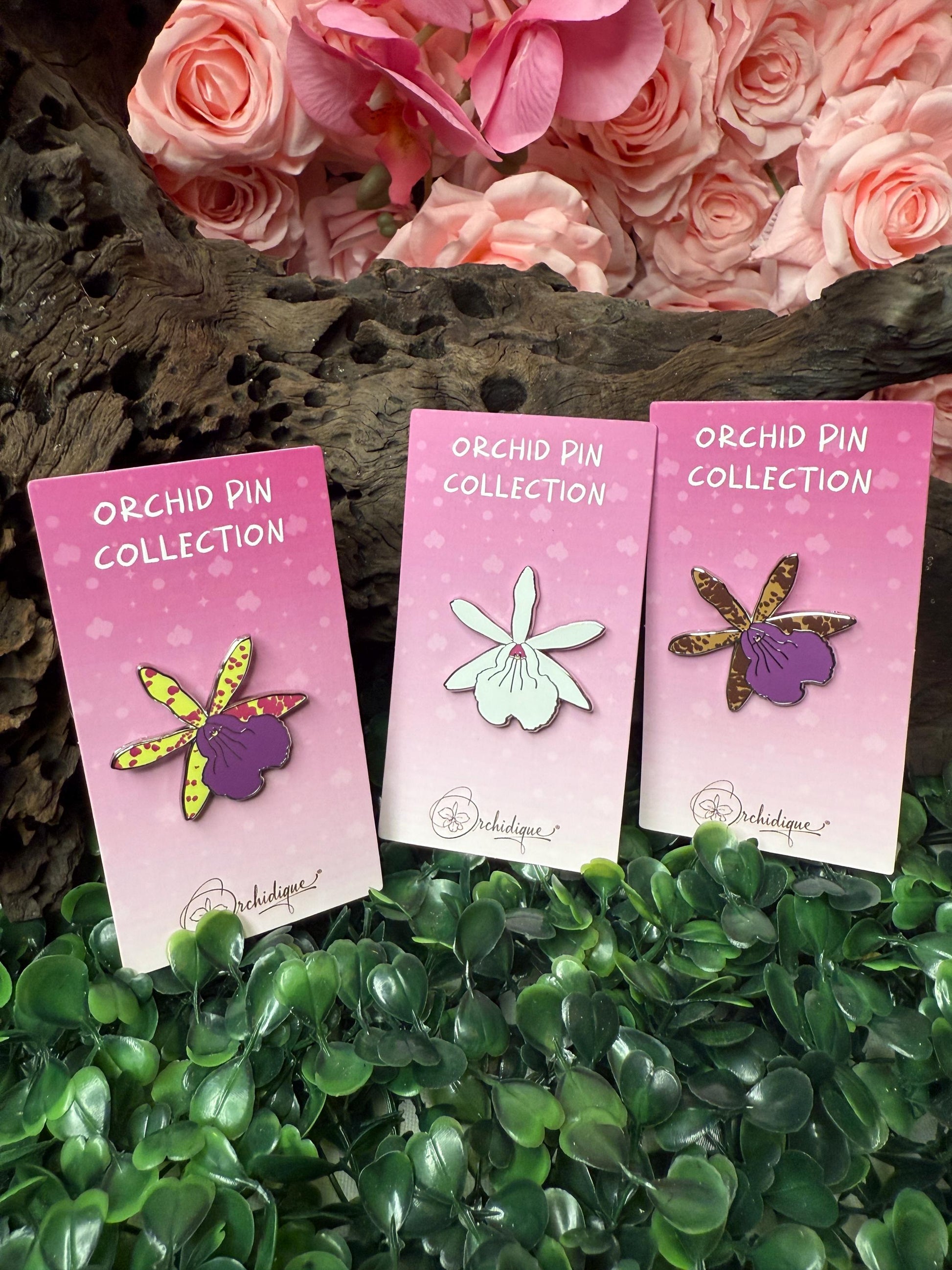 BC Hippoclamia Enamel Pin- Orchid Flower Enamel Pin • Flower Orchid Collector Item