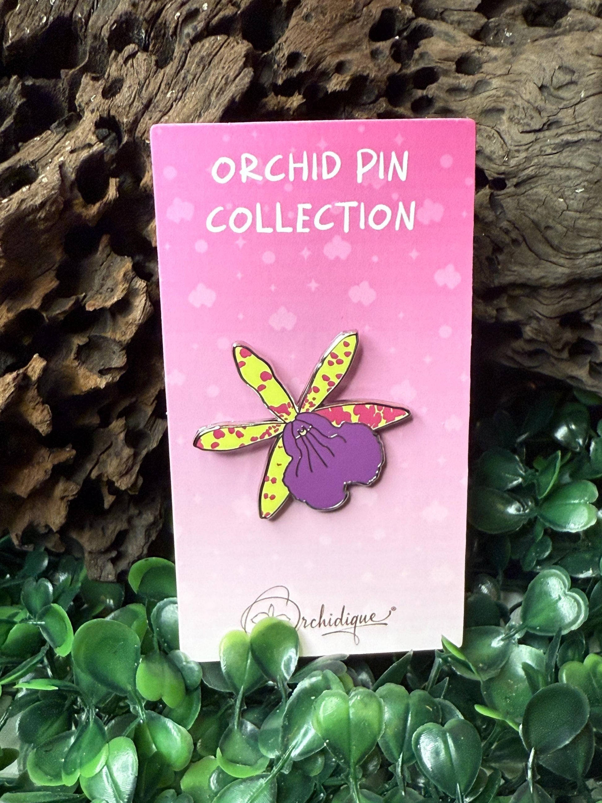 BC Hippoclamia Enamel Pin- Orchid Flower Enamel Pin • Flower Orchid Collector Item
