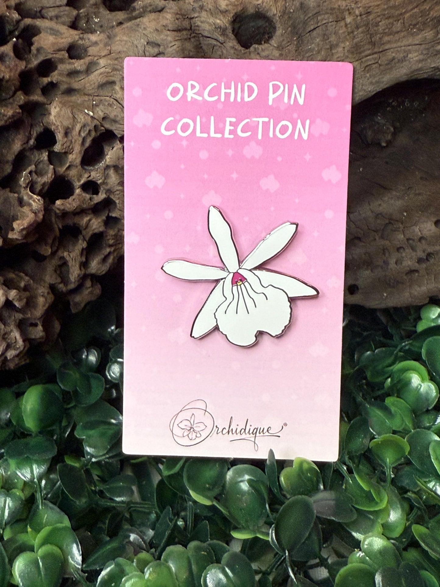 BC Hippoclamia Enamel Pin- Orchid Flower Enamel Pin • Flower Orchid Collector Item